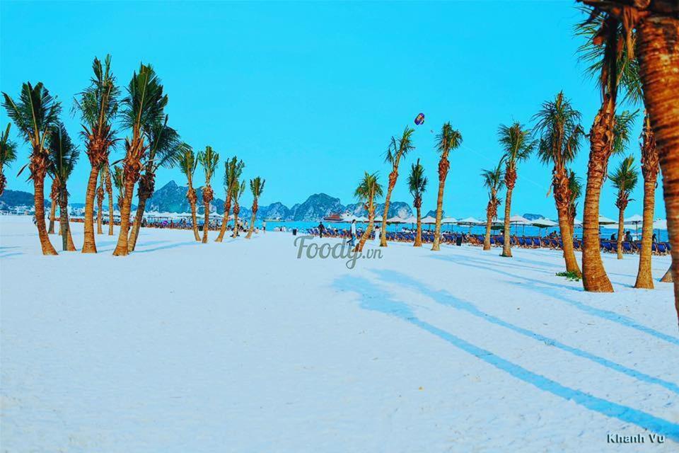 Thuy Duong Ha Long Hotel Dış mekan fotoğraf